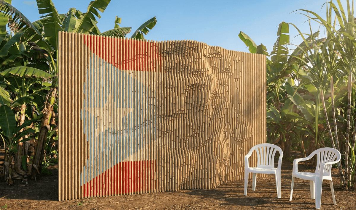 Porto Rico Liver topographic slat wall